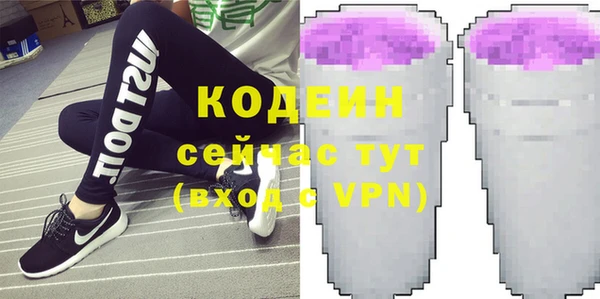 хмурый Инта