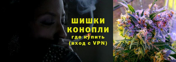 кокс Инсар
