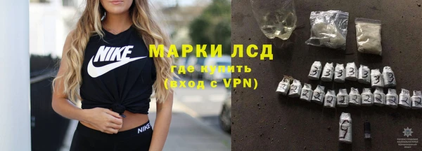 хмурый Инта