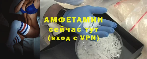 кокс Инсар