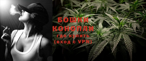 хмурый Инта