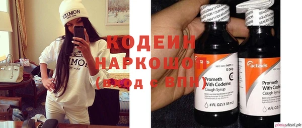 хмурый Инта