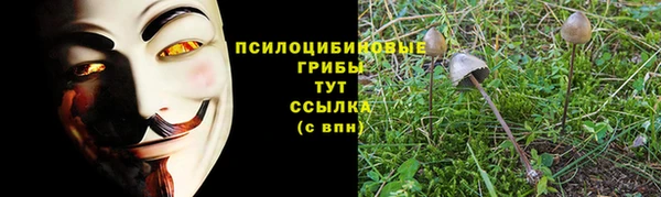 кокс Инсар