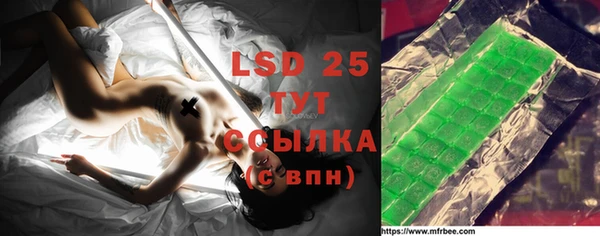 хмурый Инта