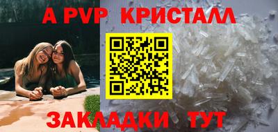 кокс Гатчина