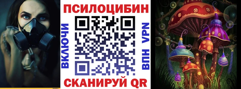 купить закладку  Котовск  Галлюциногенные грибы мухоморы 