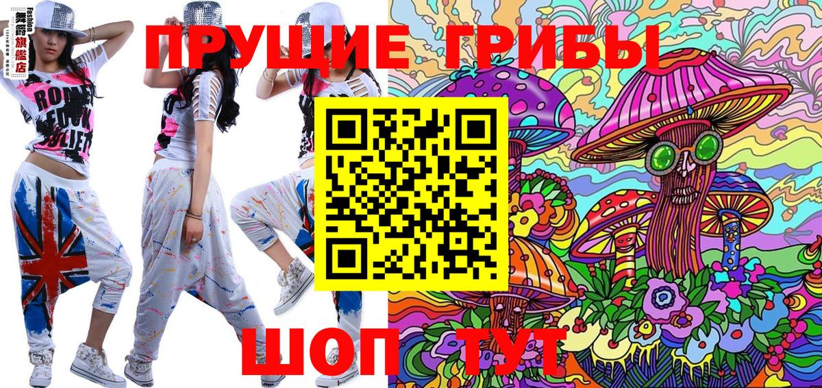 Галлюциногенные грибы MAGIC MUSHROOMS  Вход с VPN  Котовск 