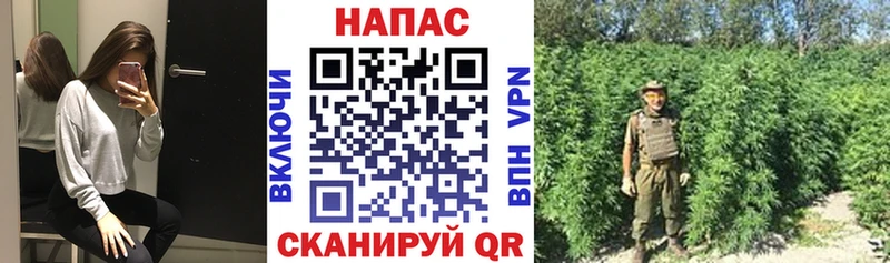 Бошки Шишки White Widow  hydra рабочий сайт  Котовск 